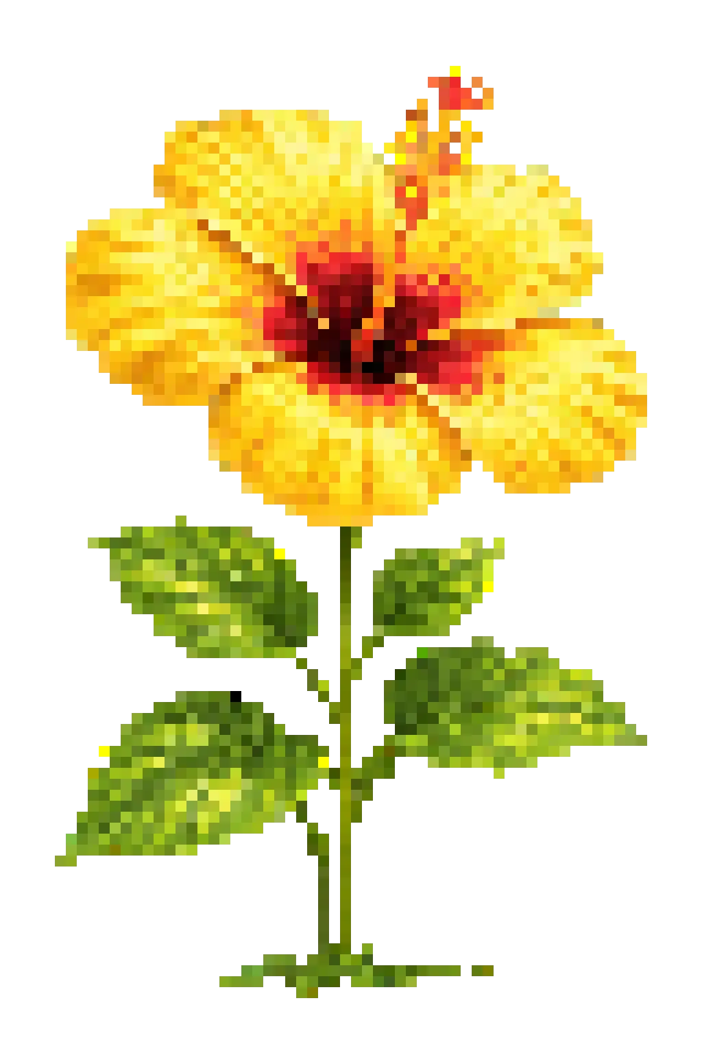 Sunflower illustration